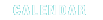 Calendar link